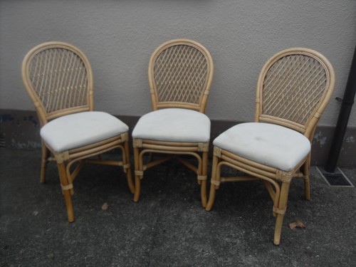 Vintage conservatory cane - x,