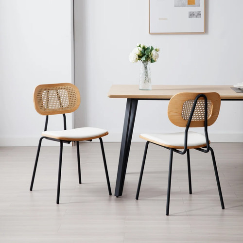 Modern rattan dining chairs - dining,