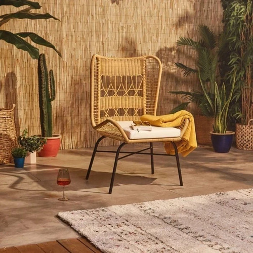 Rattan wing back - wing, chair