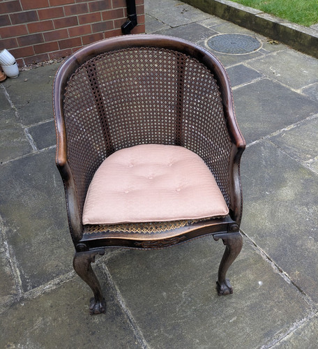 Dark wood rattan - wood, &